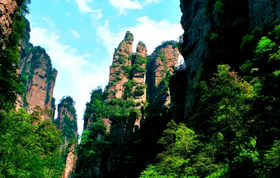 Meeting from a thousand miles away