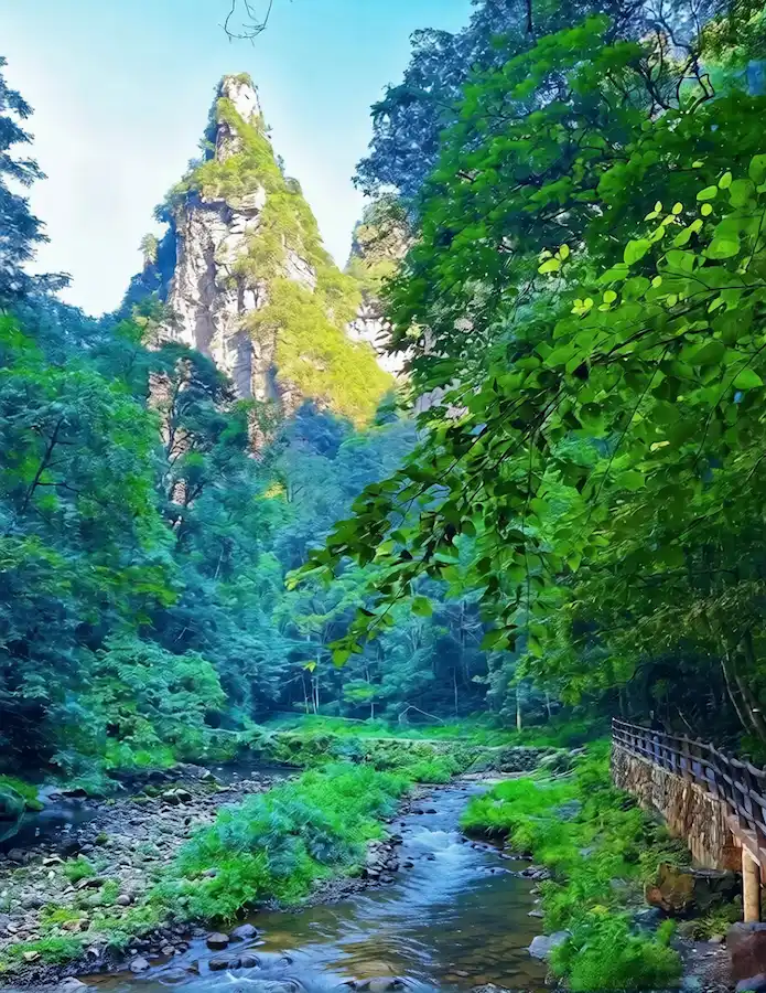 Zhangjiajie Golden Whip Stream