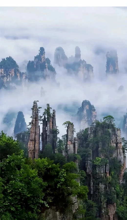 Zhangjiajie National Forest Park
