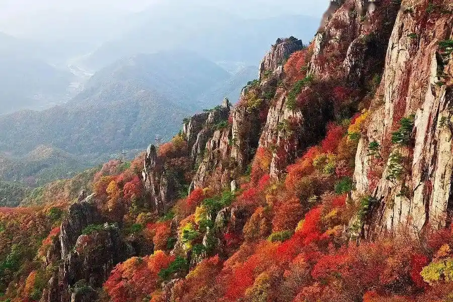 Zhangjiajie Wulingyuan Peak Forest in Autumn