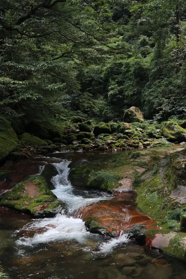 Golden Whip Creek in Wulingyuan Scenic Area, Zhangjiajie, China