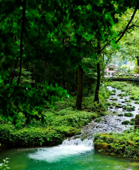 Zhangjiajie Wulingyuan Jinbianxi