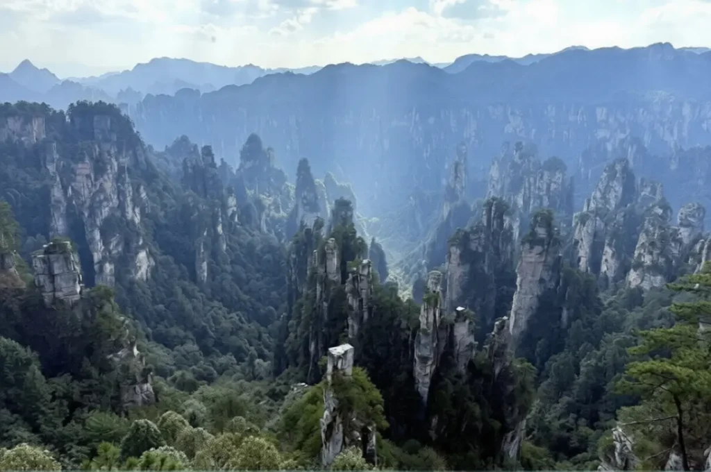 Dense sandstone peak forest in Wulingyuan, Zhangjiajie