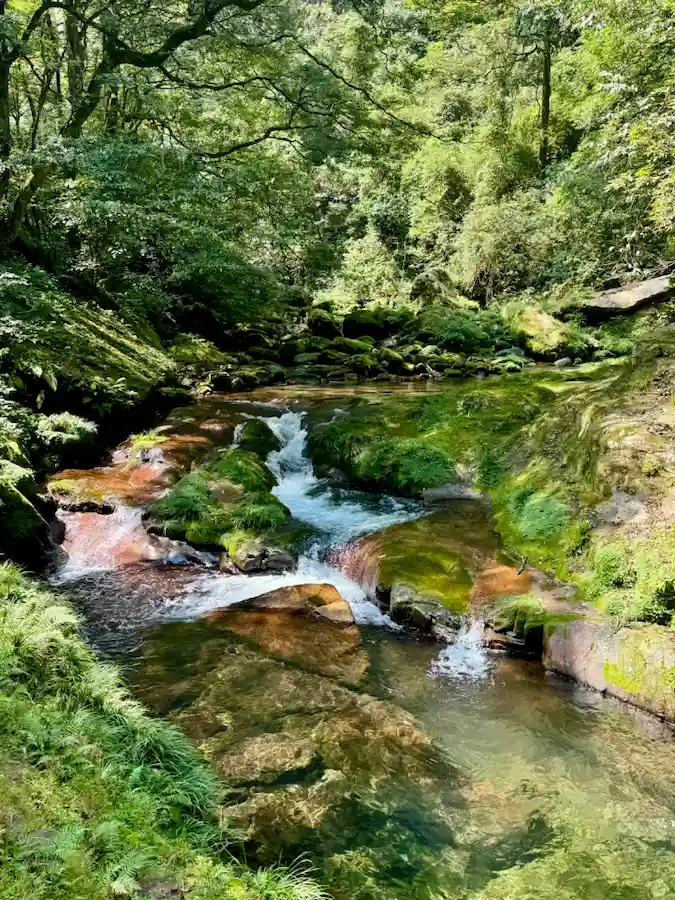 Jinbian Creek in Zhangjiajie