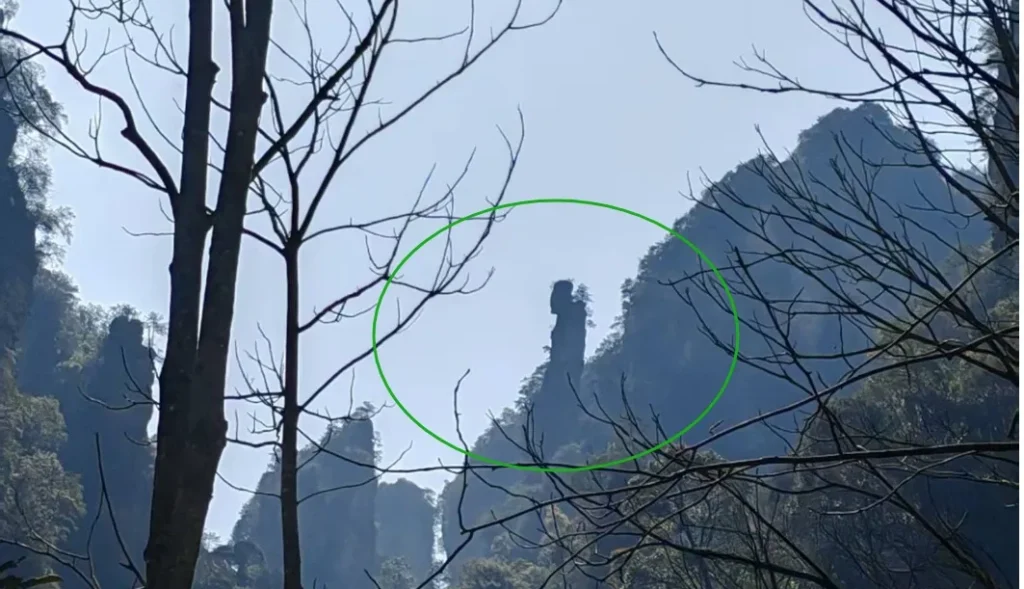 Old man collecting herbs at Zhangjiajie‘s Ten-Mile Gallery