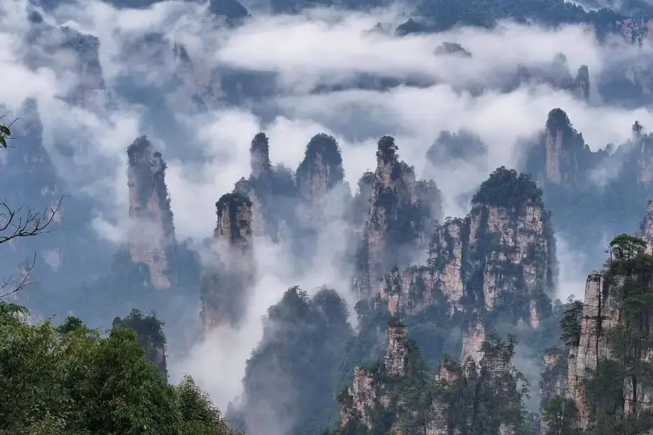 The peaks and clouds of Zhangjiajie National Forest Park