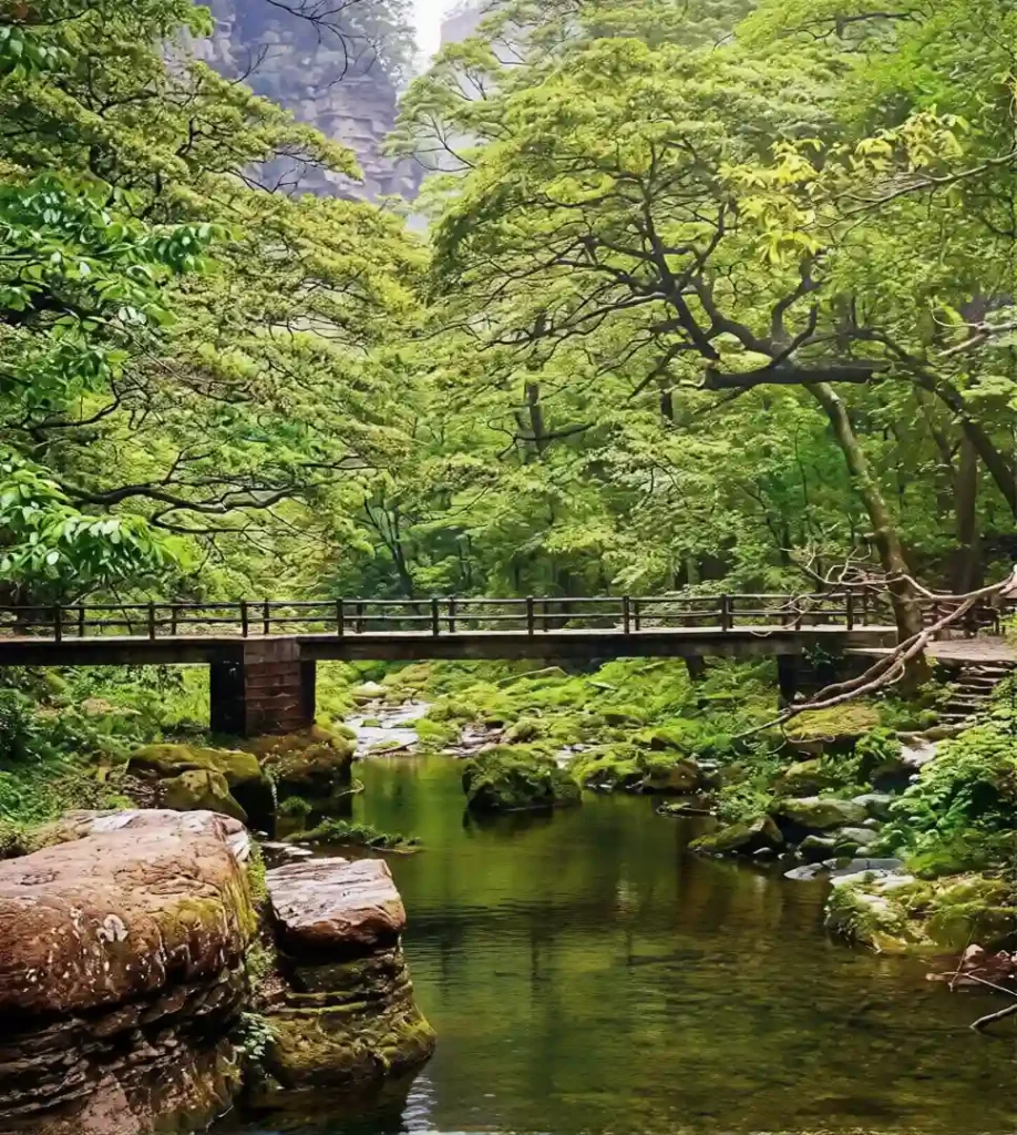 Wooden bridge over clear stream in Wulingyuan forest