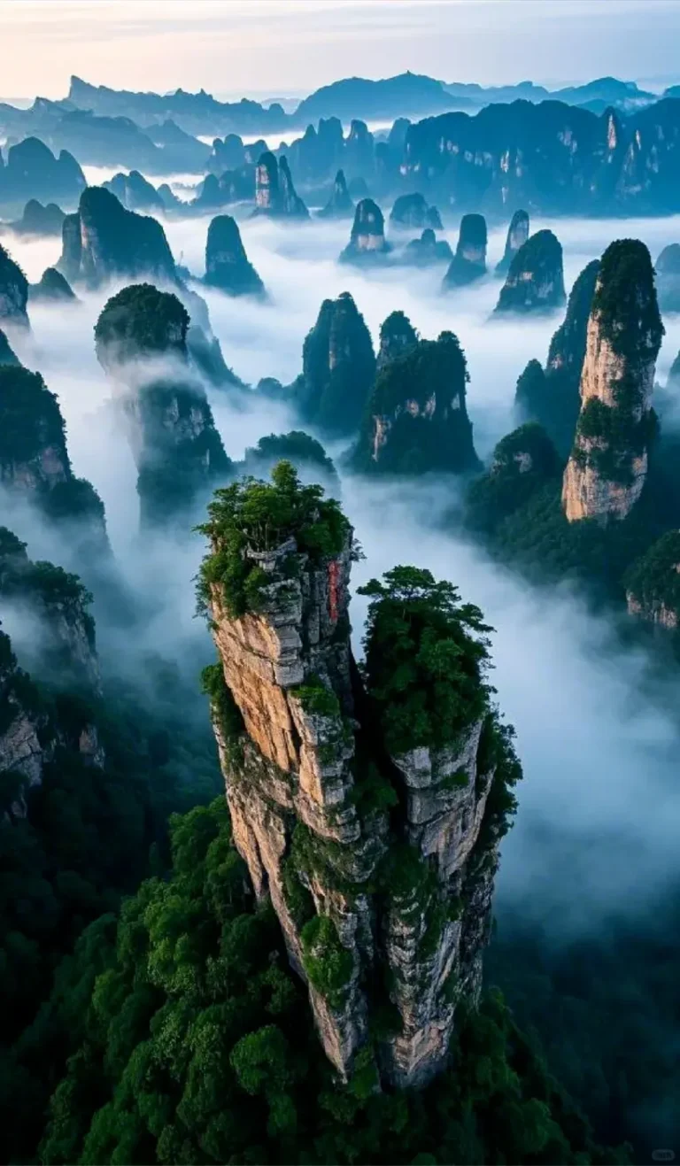 Zhangjiajie itinerary 3 days panoramic Avatar Mountains misty peaks
