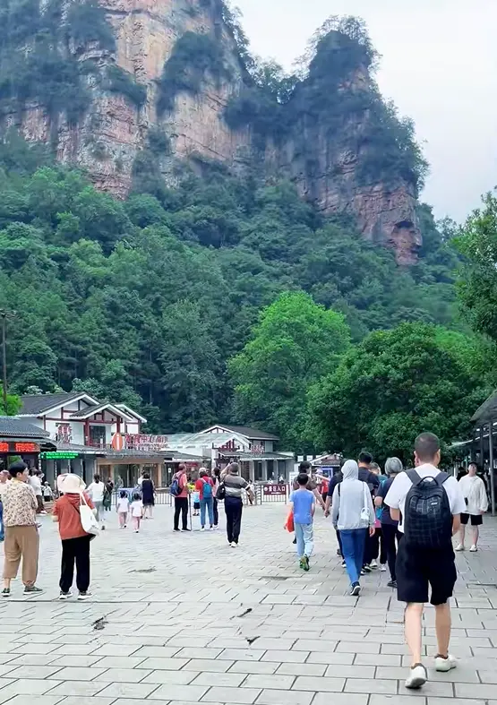 Golden Whip Stream steps from Zhangjiajie south gate entrance morning
